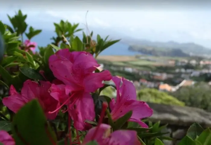 Ilha de são Miguel - Açores - nacionalidade portuguesa