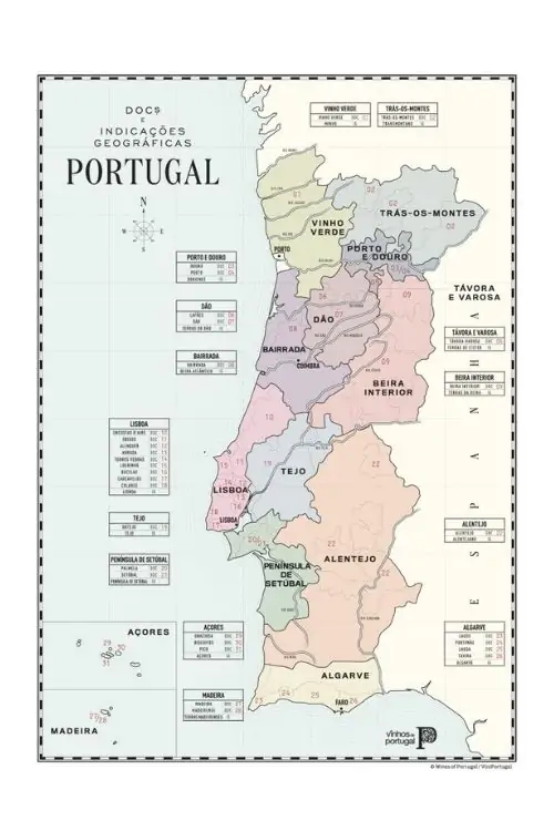 rota dos vinhos portugueses