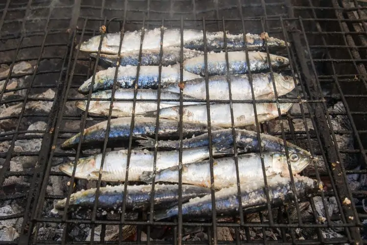 Por que escolher Portugal para morar  Sardinhas na brasa.