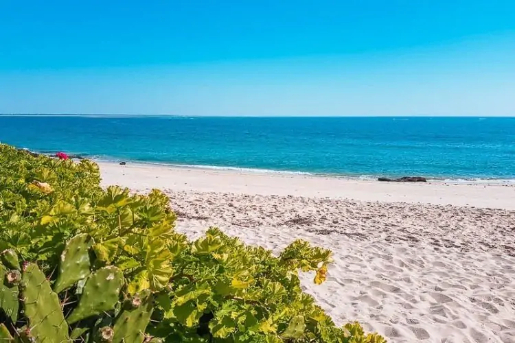 Serra da Arrábida em Portugal  - um lugar mágico da Serra ao Mar, Praia de Coelhos - Serra da Arrábida