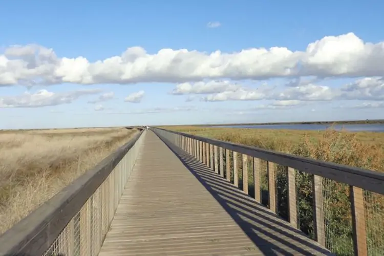 Passadiços do Tejo