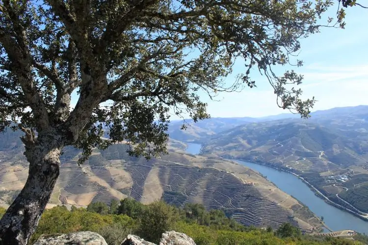 Miradouro São Leonardo de Galafura